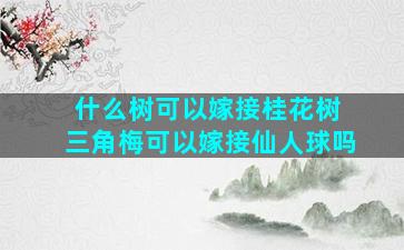 什么树可以嫁接桂花树 三角梅可以嫁接仙人球吗